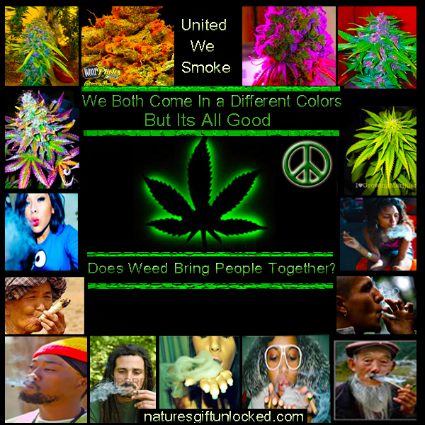 weed chatroom